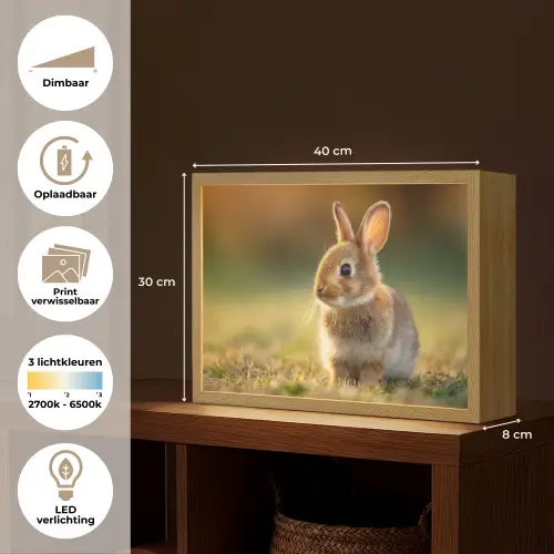 Konijntje - Bruin - Gras Light Box met batterij (Wandlamp) middel -USP_websiteoverzichtNL