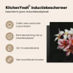 Schakeringen van Sereniteit Inductie beschermer vinyl 3mm middel -sfeer2