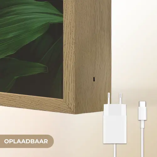 Bladeren - Schaduw - Groen - Textuur Light Box met batterij (Wandlamp) middel -USP_websiteoplaadbaarNL