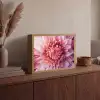 Dahlia - Bloem - Close up - Roze Light Box met batterij (Wandlamp) middel -sfeer2