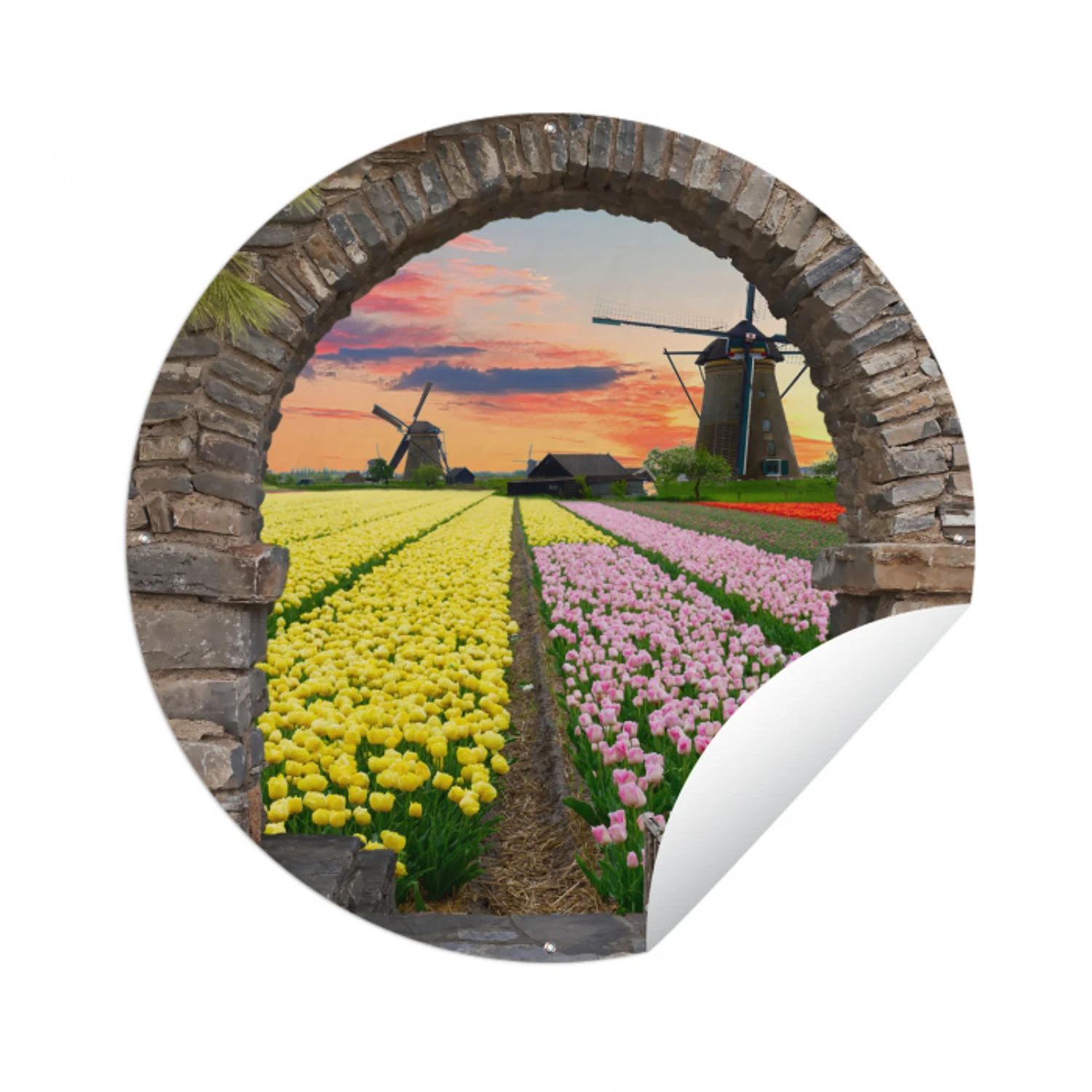 Tulpen - Bloemen - Molen - Doorkijk Wandcirkel tuinposter met ringen klein -3d