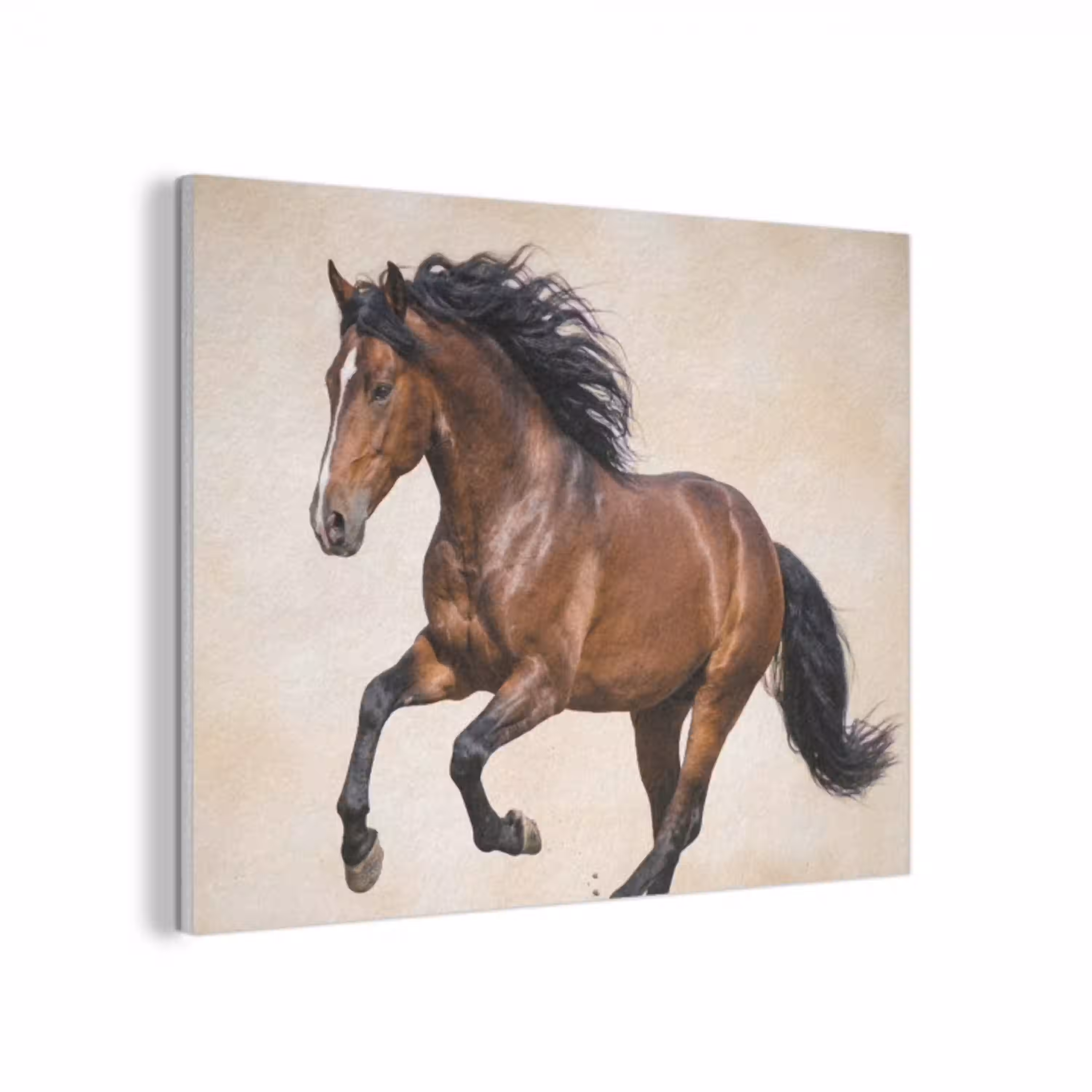 Paard - Galop - Energie PET vilt klein -3d