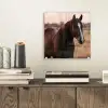Paard - Zonsondergang - Bruin plexiglas 5mm klein -sfeer1
