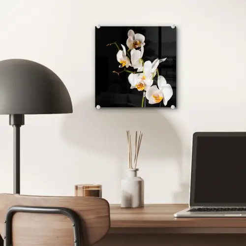Orchidee - Bloemen - Planten - Botanisch plexiglas 5mm klein -sfeer6