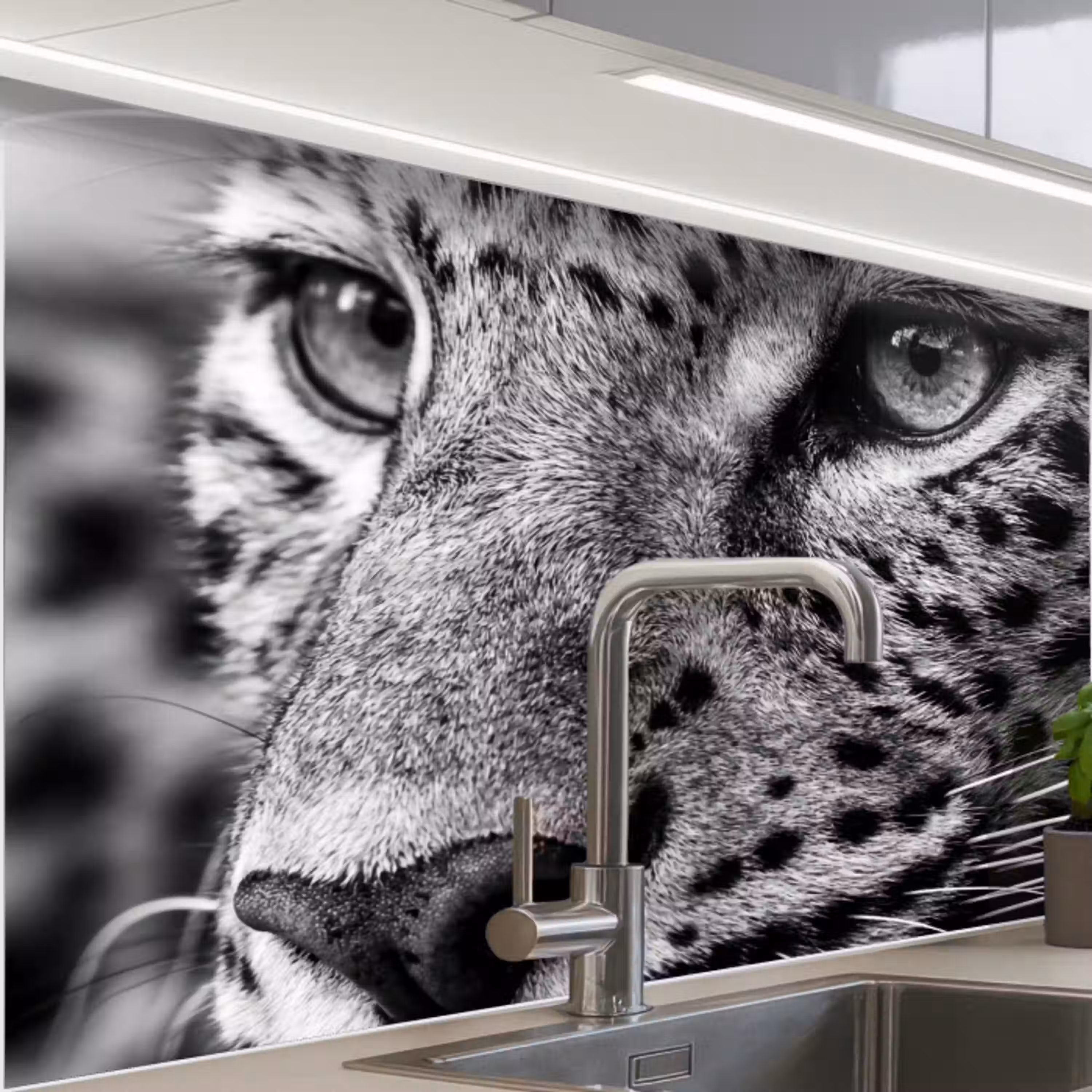 Luipaard - Zwart - Wit - Oog keuken achterwand 2 middel -zzzz3d_schuin