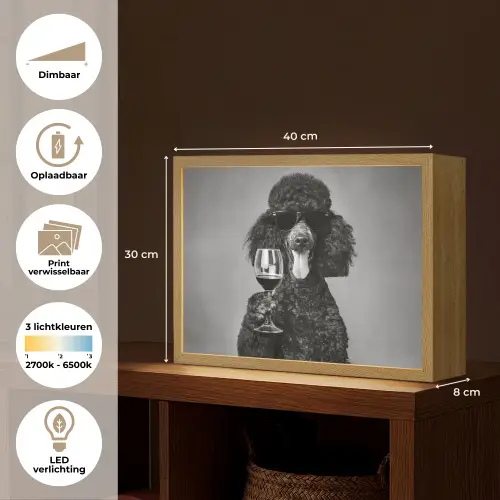Hond - Krullen - Zonnebril - Wijn Light Box met batterij (Wandlamp) middel -USP_websiteoverzichtNL