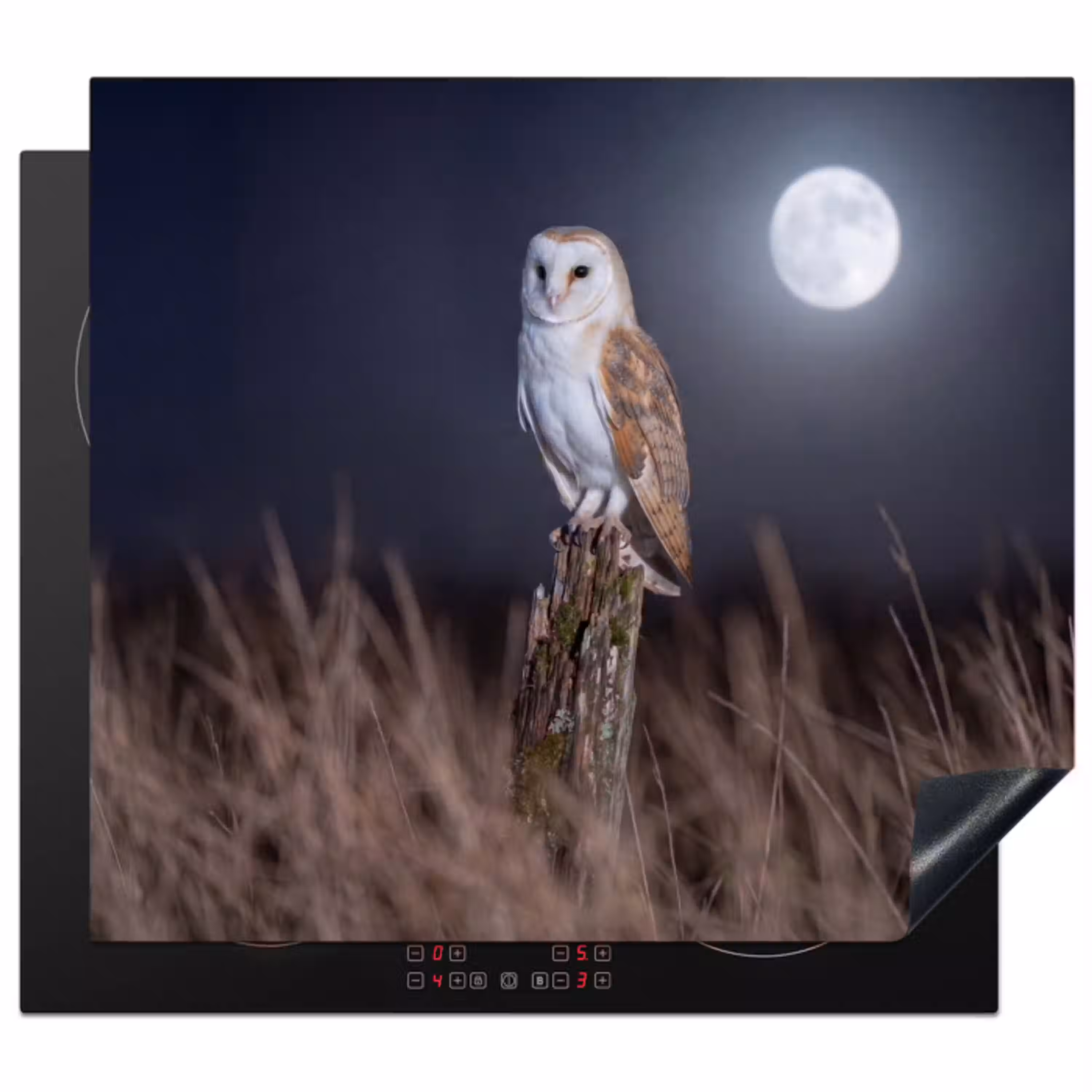 Kerkuil - Maan - Nacht Inductie beschermer vinyl 3mm middel -3d