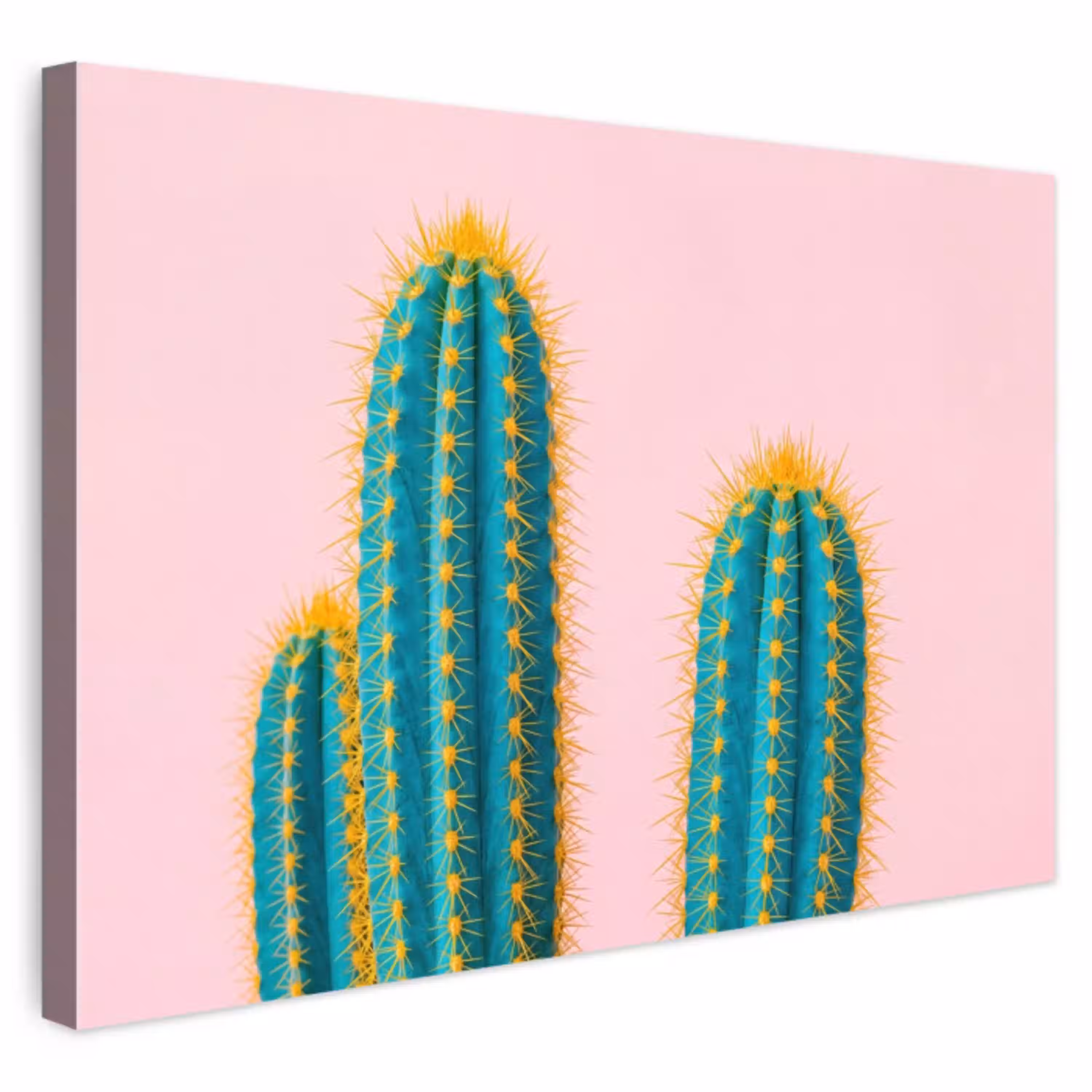 Cactussen - Modern - Pastel Tuinposter op houten frame 2 cm dik klein -3d