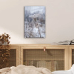 Schermbloem - Rijp - Kristallen - Winter - Delicaat plexiglas 5mm klein -sfeer4