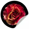 Bloem - Roos - Rood - Zwart Wandcirkel behangsticker klein -3d