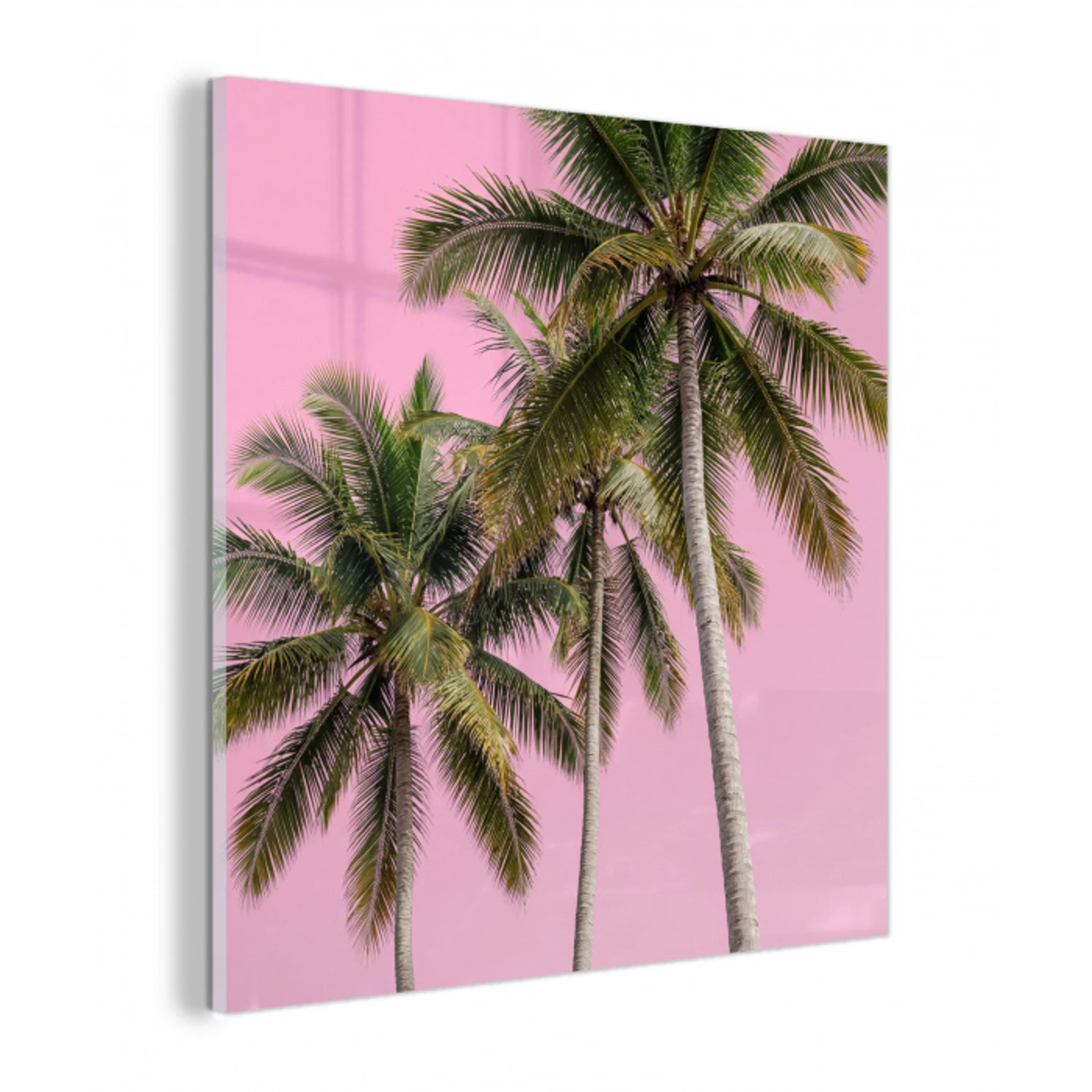 Palmboom - Tropisch - Pink plexiglas 5mm klein -z3d