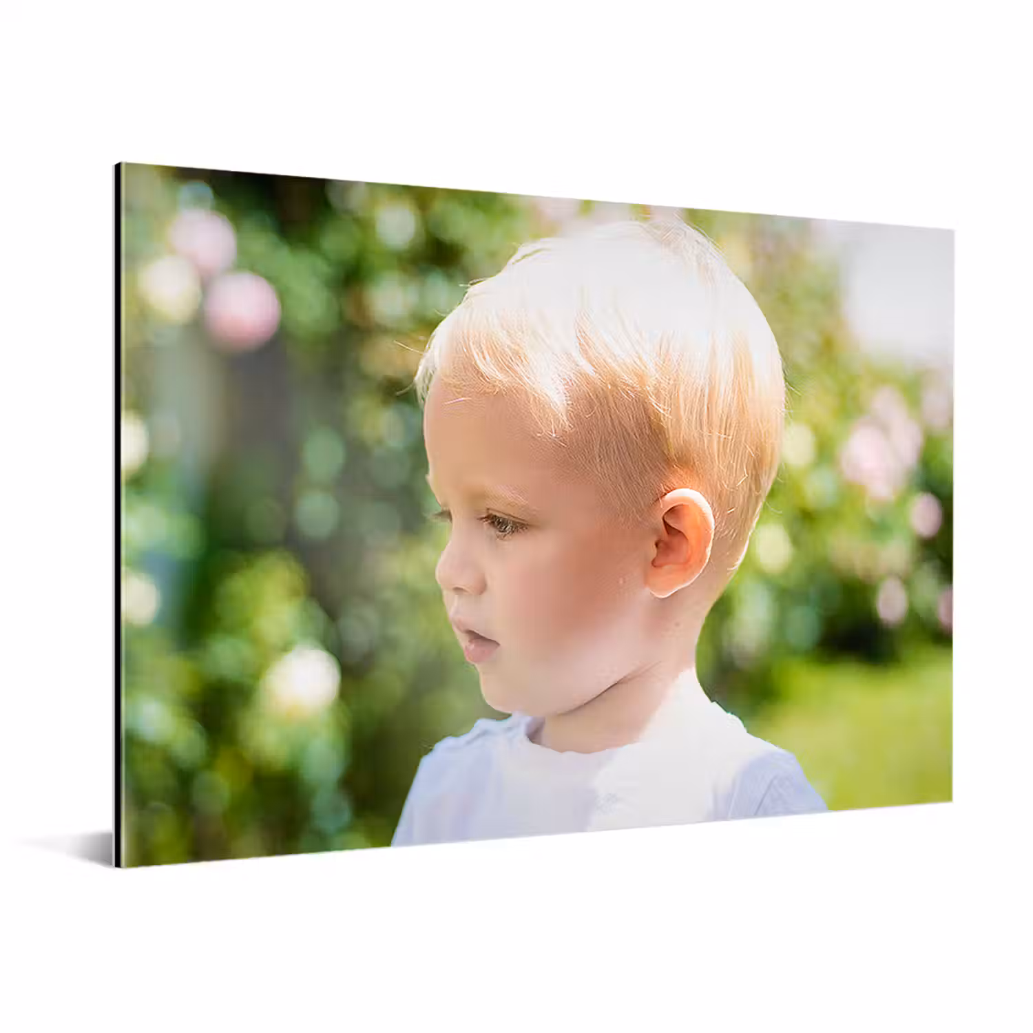 Photo sur aluminium