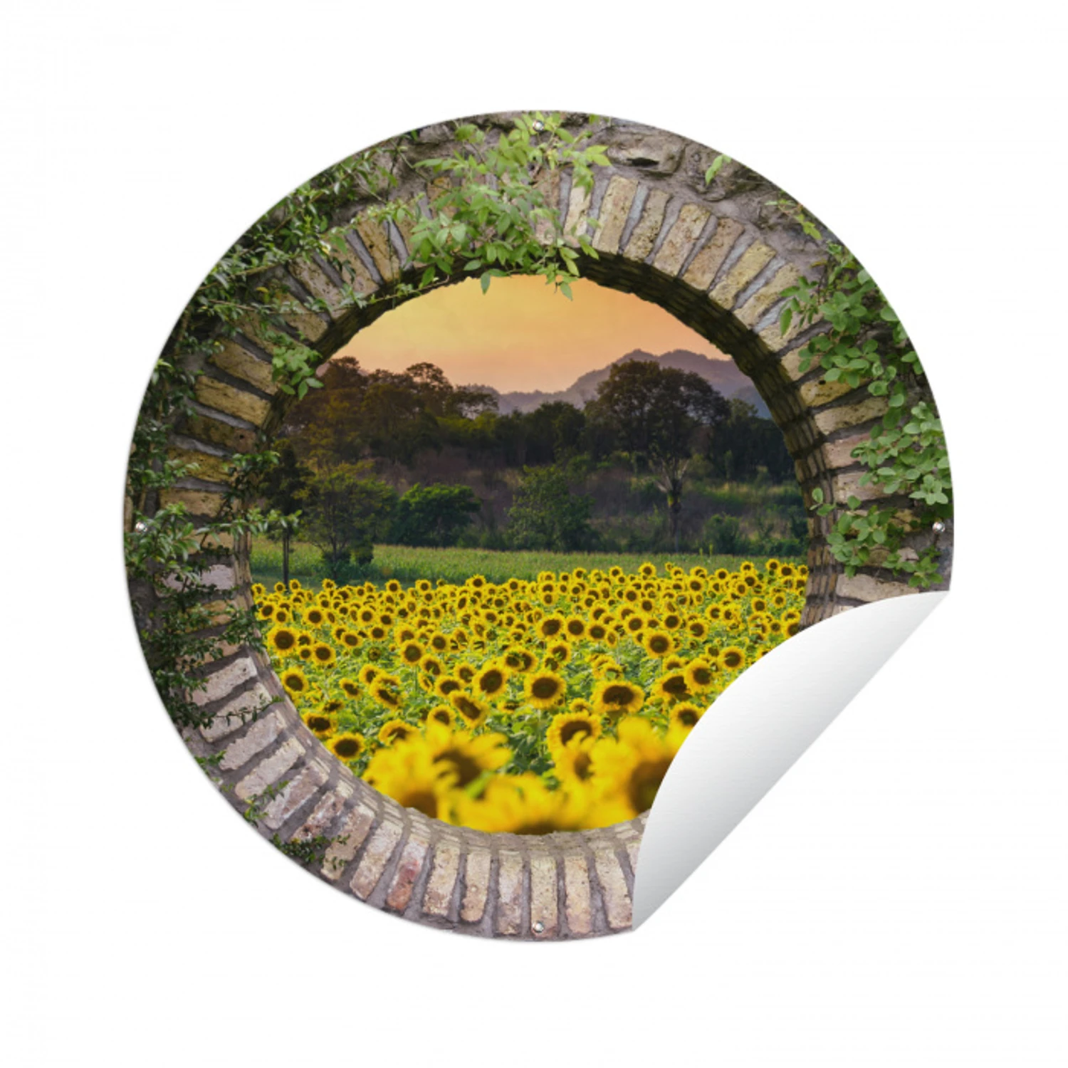 Doorkijk - Bloemen - Zonnebloem Wandcirkel tuinposter met ringen klein -3d