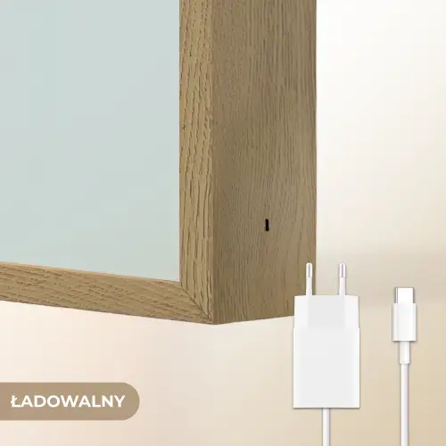 Dolfijn - Zeewier - Grijs Light Box met batterij (Wandlamp kind) middel -USP_websiteoplaadbaarNL