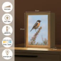 Roodborsttapuit - Heide - Paars - Natuur - Sfeervol Light Box met kabel (Kinderlampje) klein -USP_FR