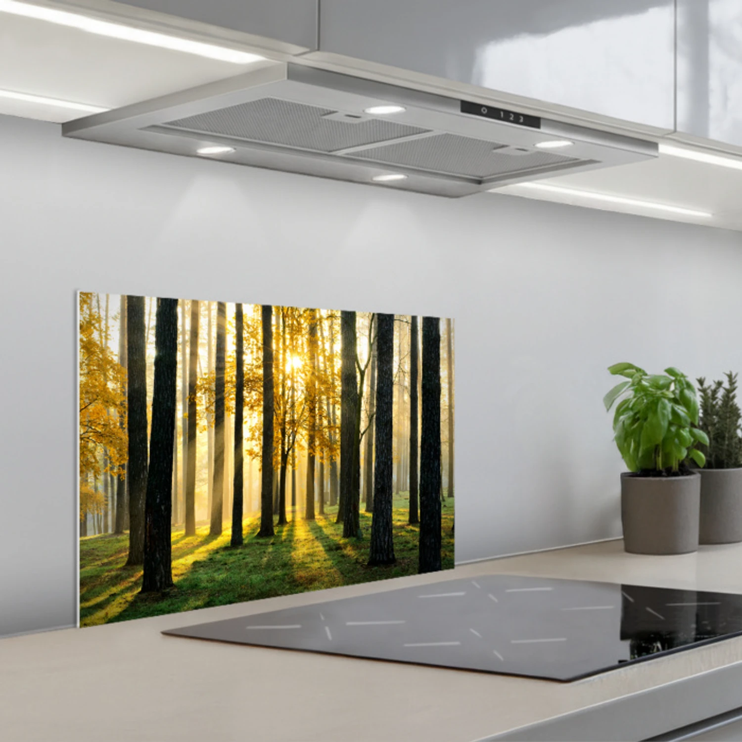 Bos - Zon - Bomen - Gras - Landschap  - Natuur keuken achterwand spatscherm klein -3d_schuin