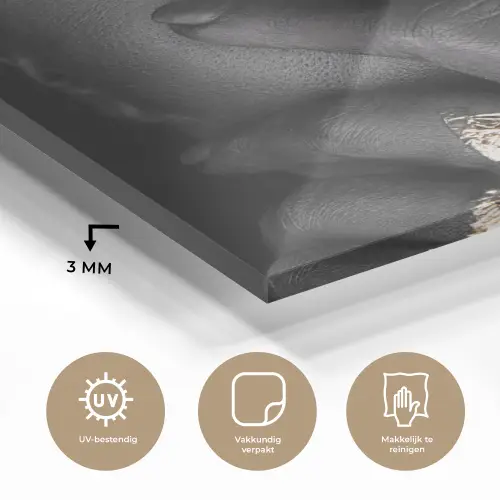 Vrouw - Goud - Zwart - Schmink - Luxe plexiglas 5mm klein -sfeer2
