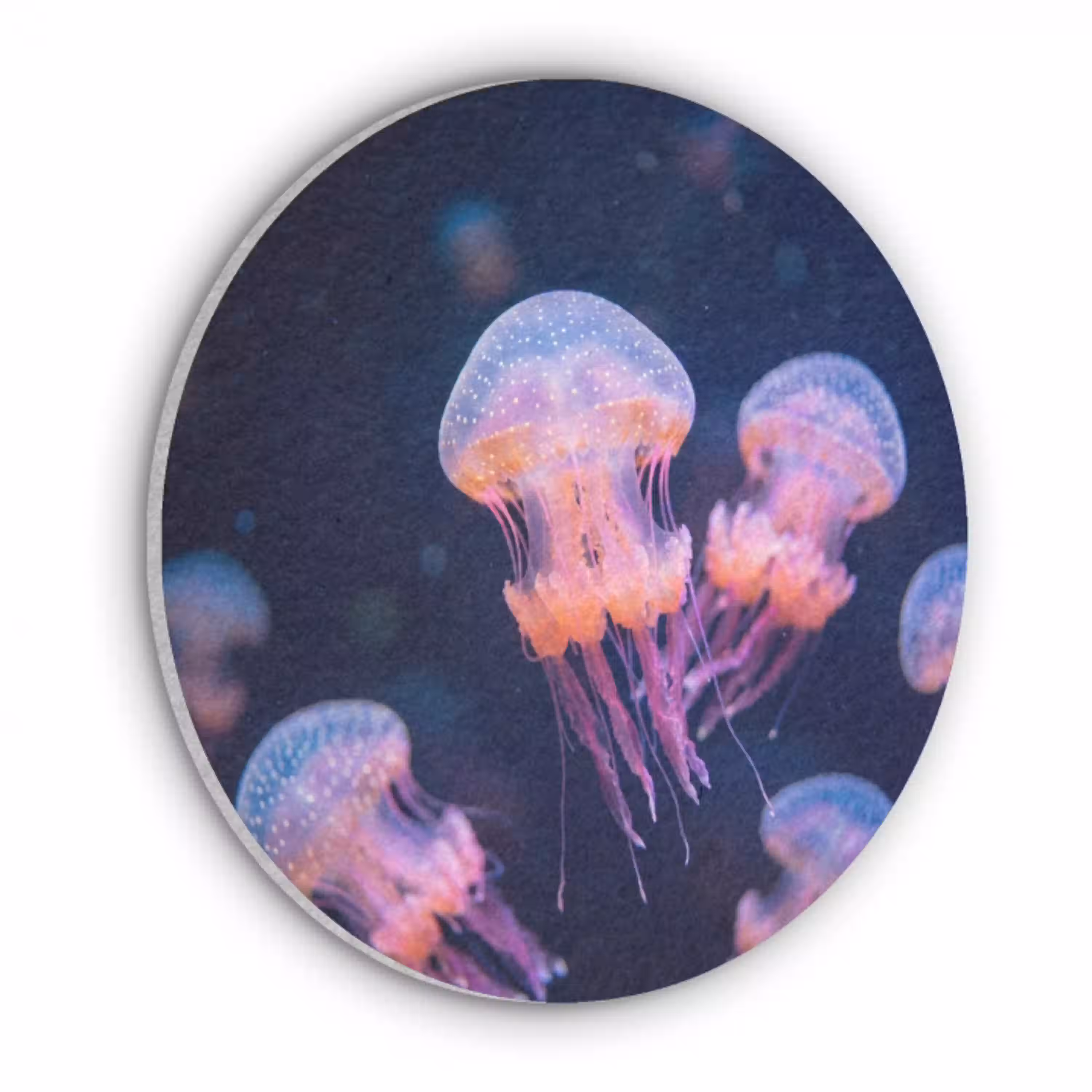 Dier - Onderwater - Natuur - Roze - Mysterieus Akoestische PET Vilt - Rond klein -3d