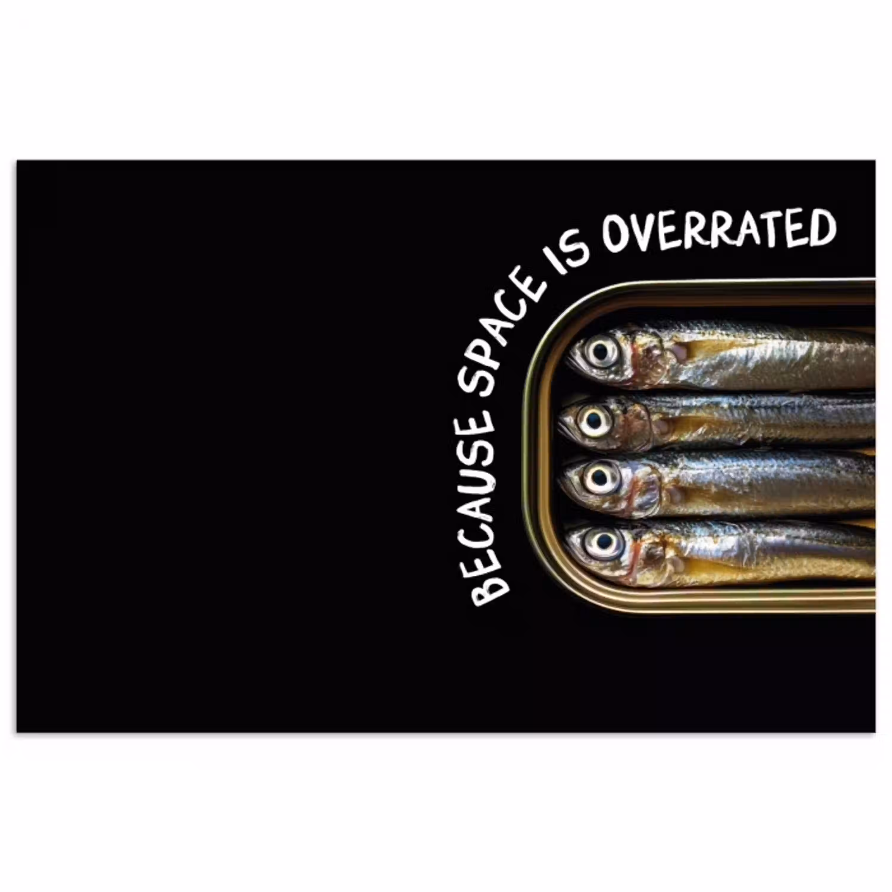 Sardines - Tekst - Vis - Blik poster papier klein -3d