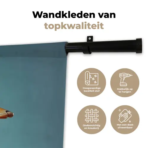 Eend - Koksmuts - Cute - Vogel Wandkleed katoen klein -sfeer2