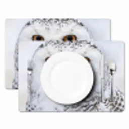 Sneeuwuil - Oog - Wildlife - Wit Placemat vinyl groot -zzsfeer2_Kitchenyeah-website