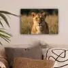 Leeuwin - Gras - Geel canvas 2cm klein -sfeer1