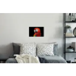 Ara - Portret - Rood Muursticker klein -slaapkamer