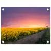 Bloemen - Weg - Lucht - Geel - Paars - Zonsondergang - Natuur tuinposter los doek klein -3d
