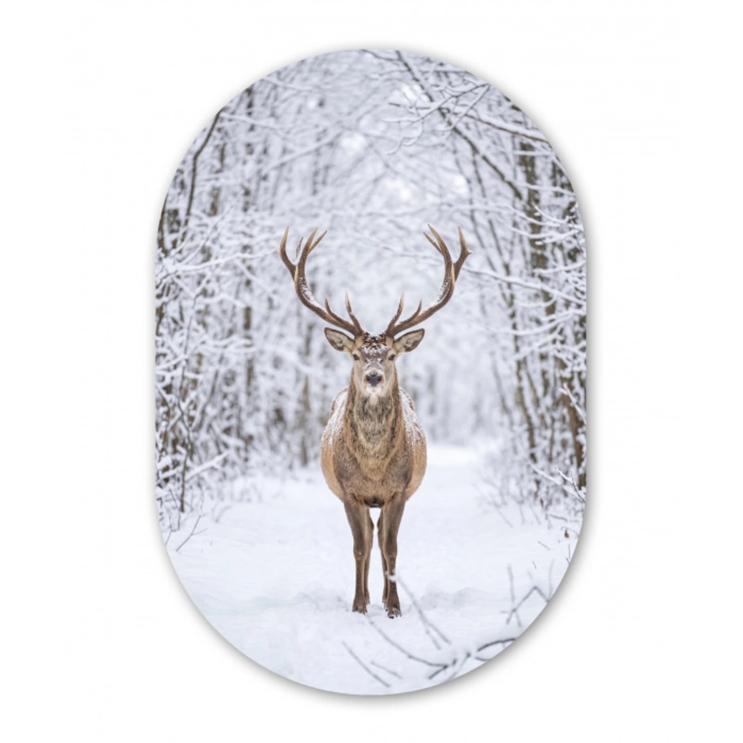 Hert - Winter - Bos - Natuur - Wit Wandcirkel Ovaal Forex klein -3d