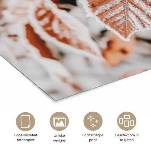 Bladeren - IJs - Winter - Natuur poster papier klein -closeup_NL