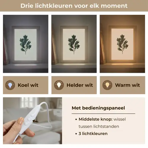 Eikenbladeren - Beige - Groen - Golvende randen Light Box met kabel (Tafellamp) klein -USP_lichtkleurNL
