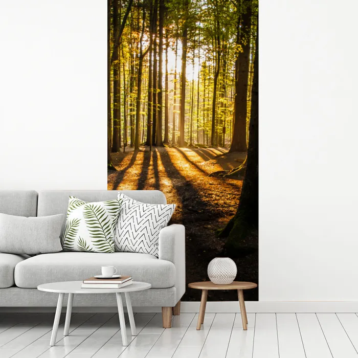 Zon - Bomen - Bos - Landschap fotobehang vinyl groot -woonkamer