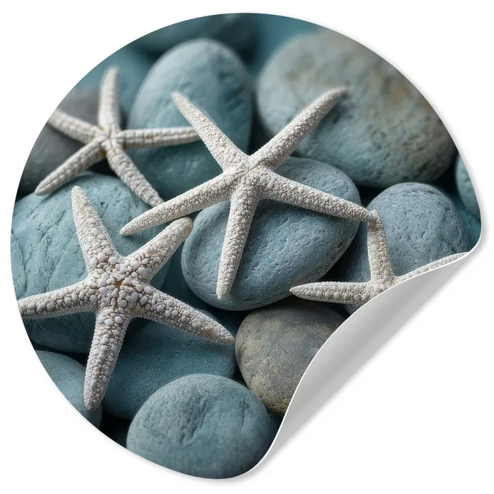Zeesterren - Stenen - Wit Wandcirkel behangsticker klein -3d