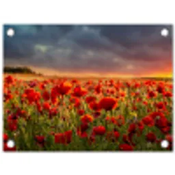 Zonsondergang - Klaprozen - Rood - Bloemen - Veld - Natuur tuinposter los doek klein -3d