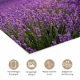 Lavendel - Veld - Natuur - Paars poster papier klein -tcloseup_DE