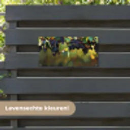 Druiven - Wijn - Natuur - Groen tuinposter los doek klein -sfeer3