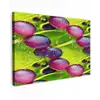 Bessen - Paars - Groen - Dauw Tuinposter op houten frame 2 cm dik klein 845 -3d