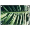 Palmblad - Tropisch - Natuur - Jungle tuinposter los doek klein -3d