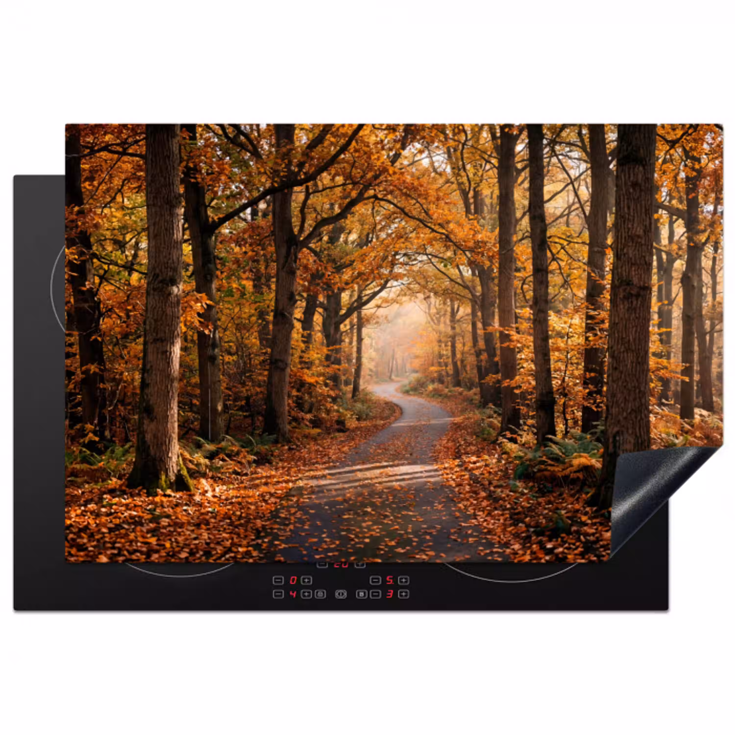 Bospad - Herfstbos - Bladeren - Oranje - Nostalgisch Inductie beschermer vinyl 3mm klein -3d