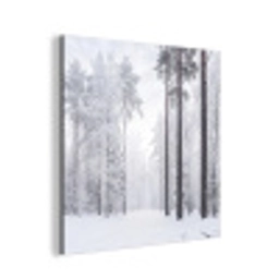 Bos - Sneeuw - Pad - Winter - Stilte aluminium wit klein -3d
