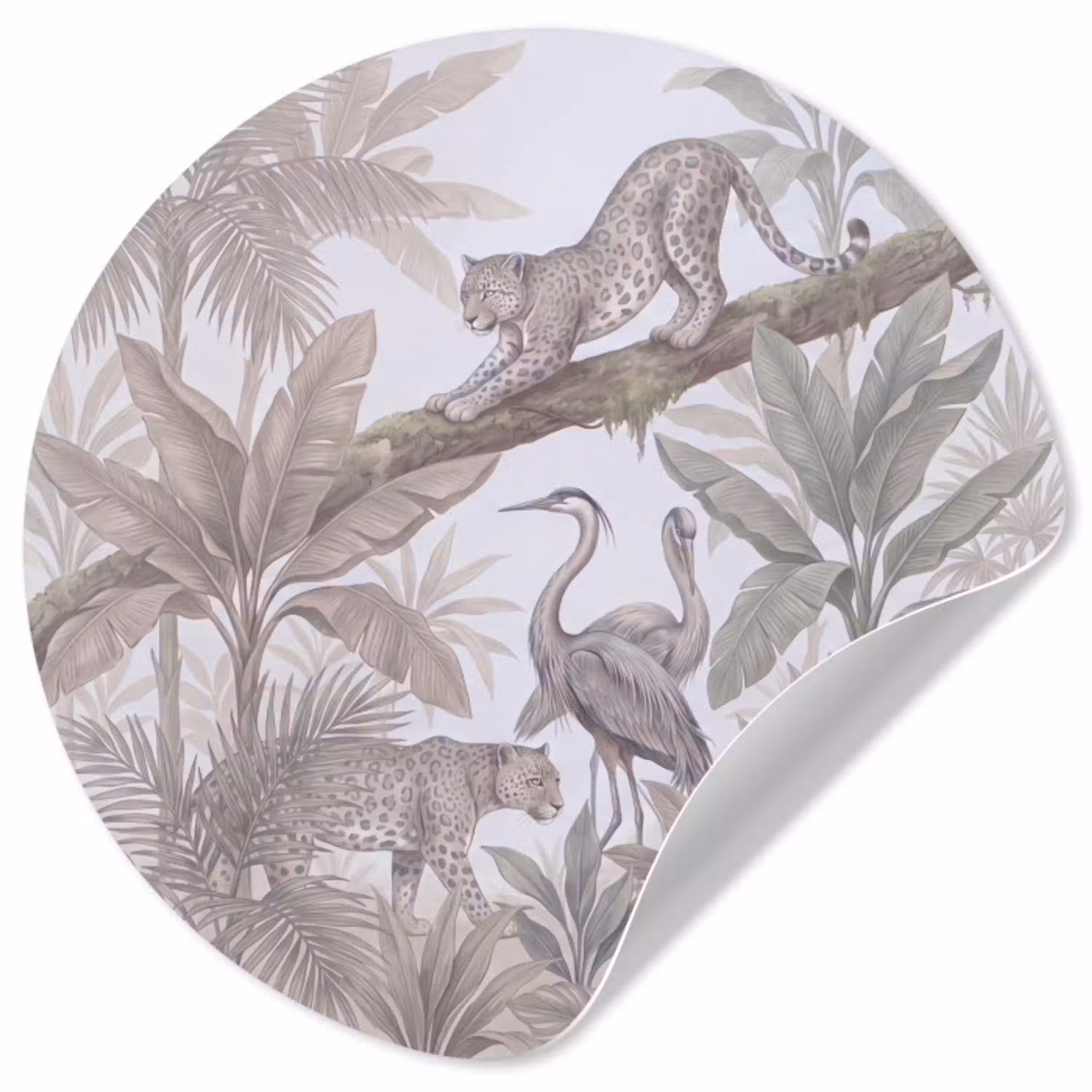 Kat - Vogel - Jungle - Illustratie - Dieren Wandcirkel behangsticker klein -3d