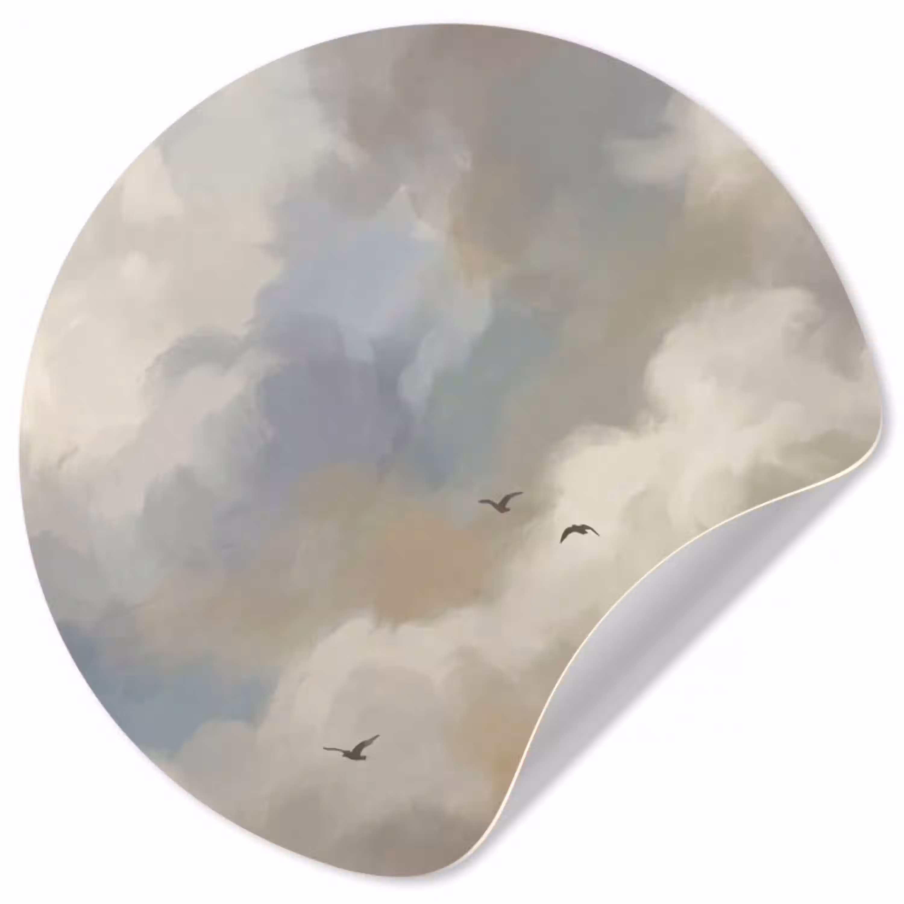 Vogel - Wolken - Natuur - Modern - Grijs Wandcirkel behangsticker klein -3d
