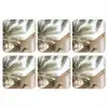 Gebouw - Palmbomen - Beige - Zon onderzetter kurk middel -3d