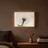 Paardenbloem - Minimalistisch - Wit Light Box met batterij (Wandlamp) middel -sfeer4
