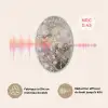 Amandelbloesem - Kunst - Van Gogh - Beige - Abstract Akoestische PET Vilt - Rond klein -USP_FR