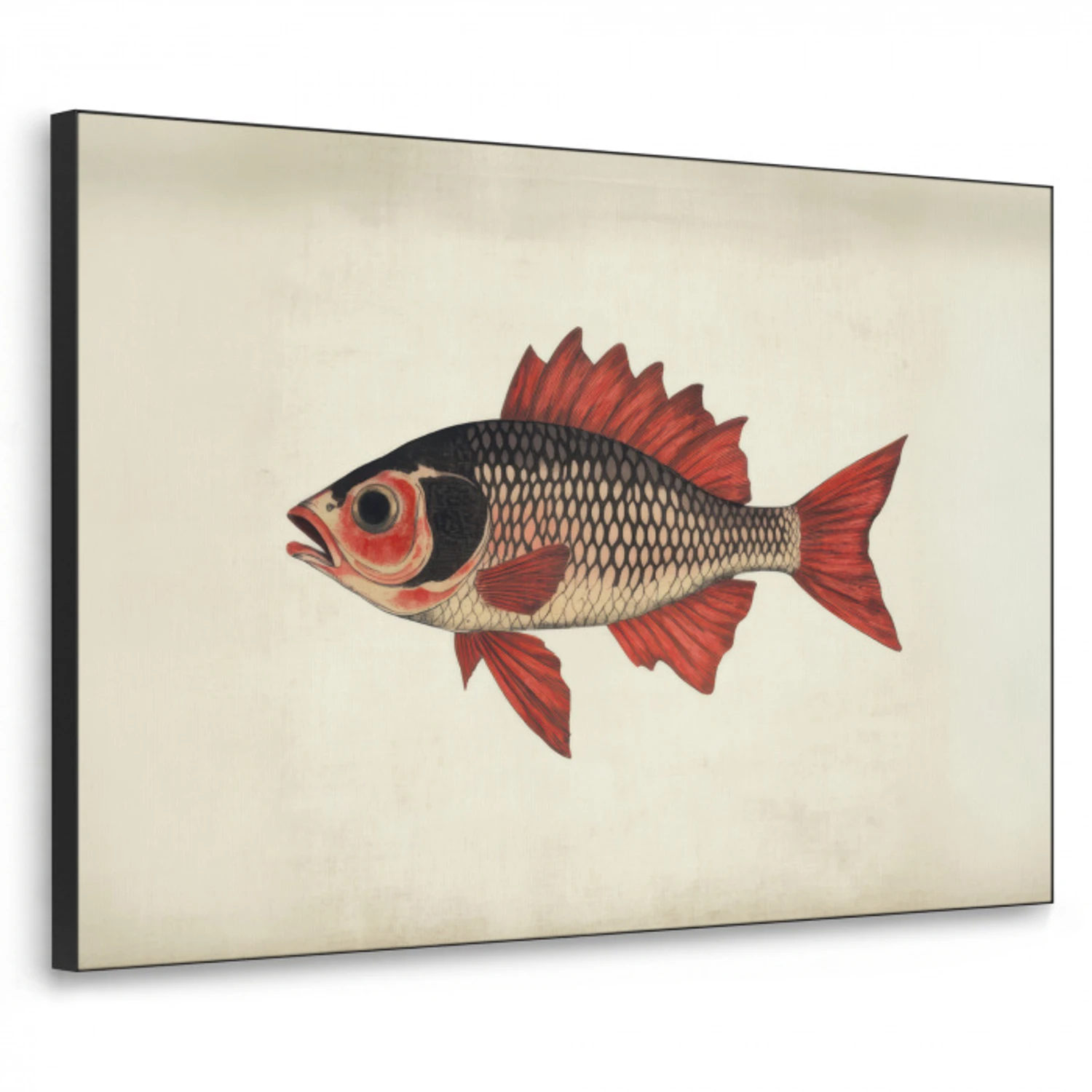 Schubben - Rood - Vis - Vinnen Textielframe zwart klein -3d