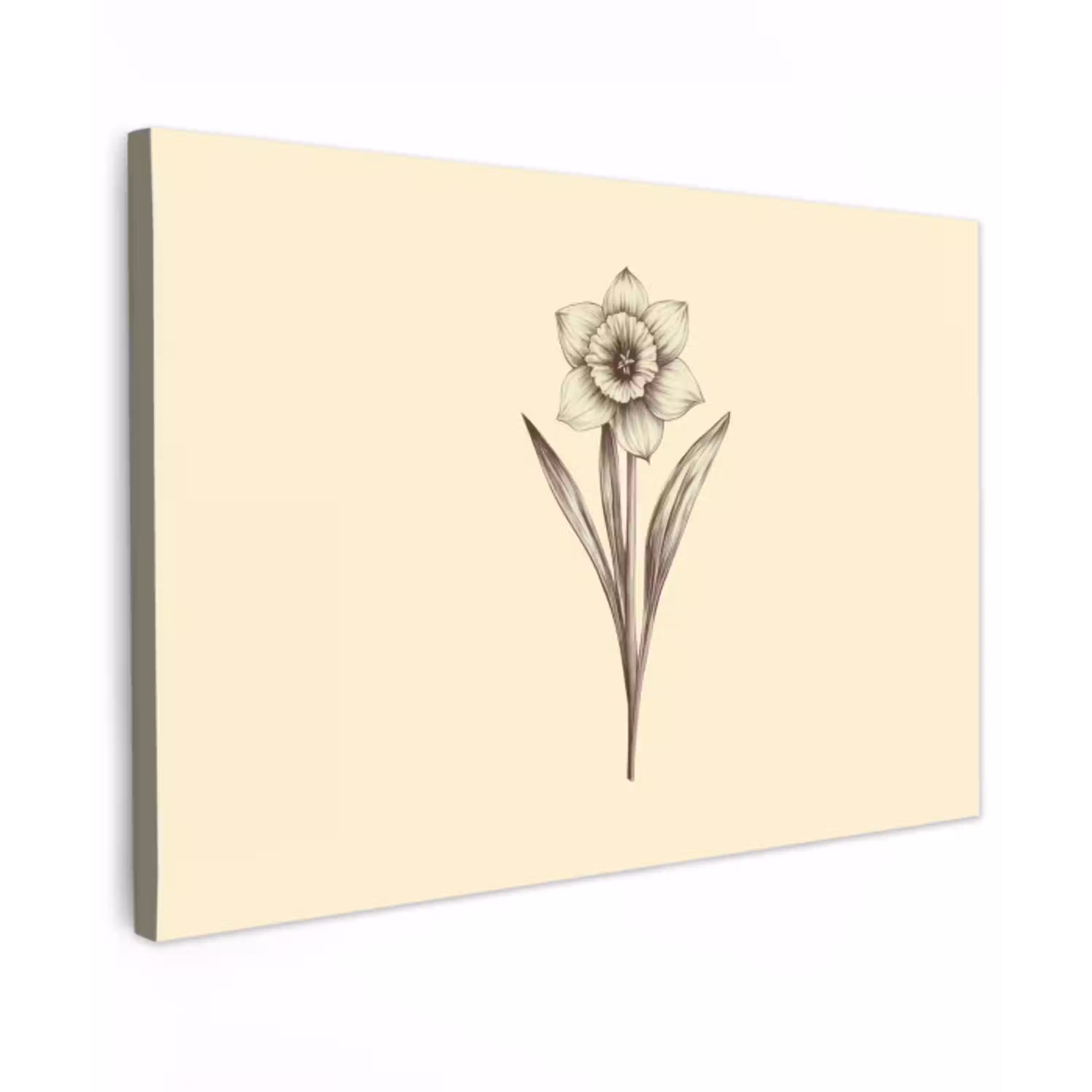 Zwart - Narcis - Illustratie Tuinposter op houten frame 2 cm dik klein -3d