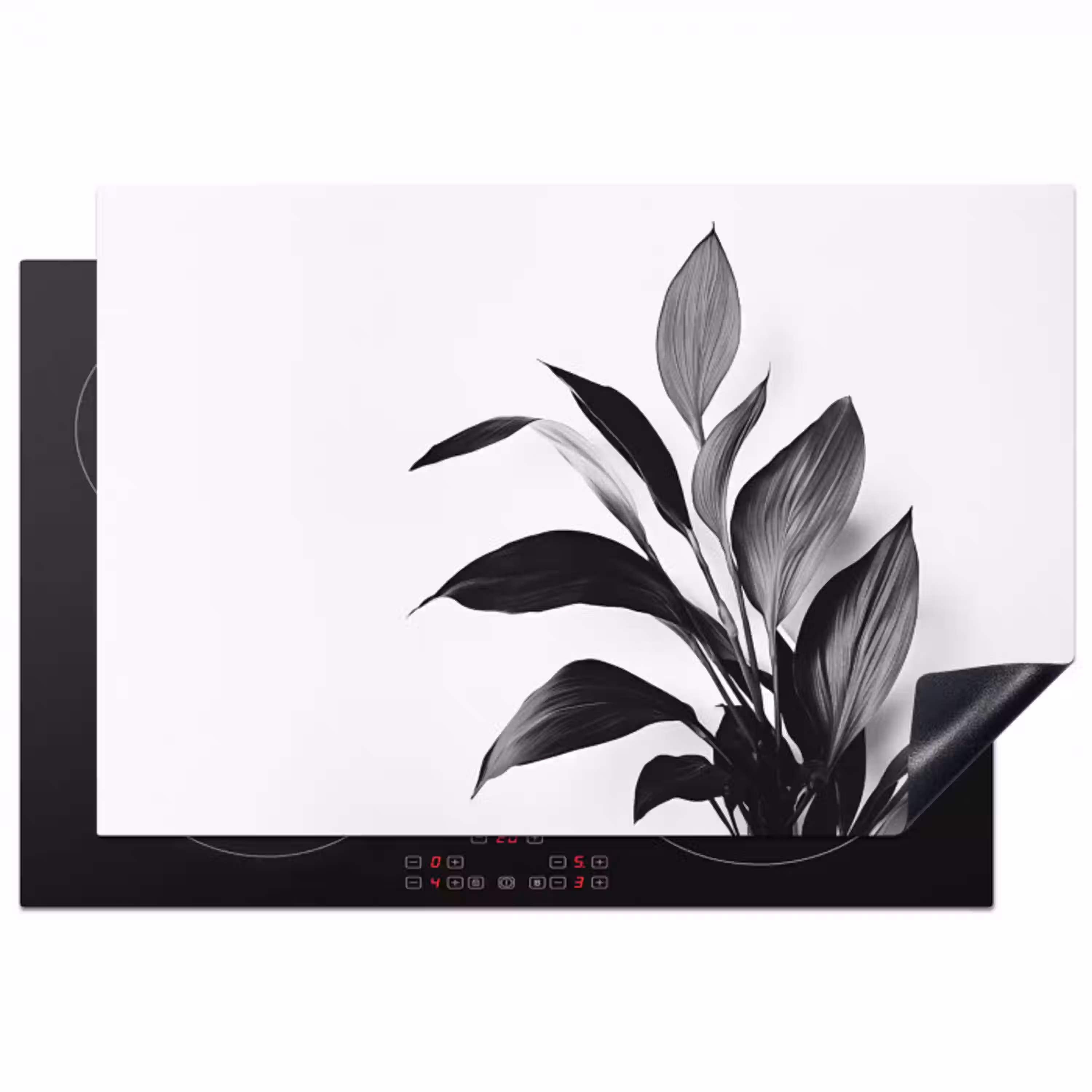 Plant - Bladeren - Minimalistisch - Zwart Inductie beschermer vinyl 3mm klein -3d
