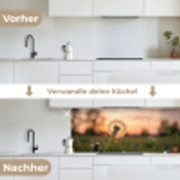Paardenbloem - Zonsondergang - Veld keuken achterwand 2 middel -voor-na_DE