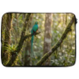 Quetzal - Jungle - Natuur - Groen laptophoes neopreen klein -zkaufland3dotto